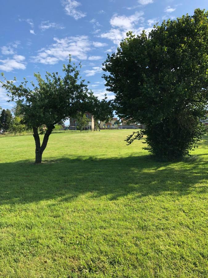 The Walnut Tree Gite Le Dorat Eksteriør billede